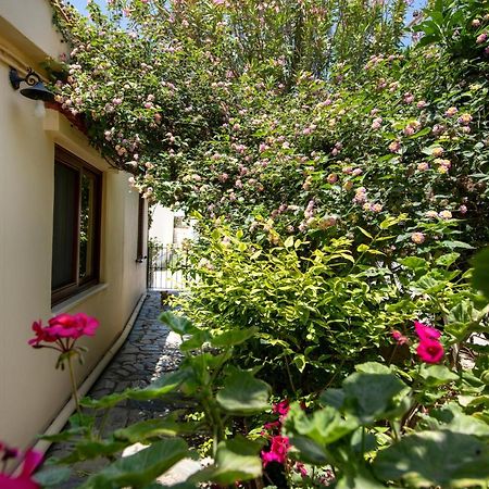 فيلا Elisavet'S House Platanés المظهر الخارجي الصورة