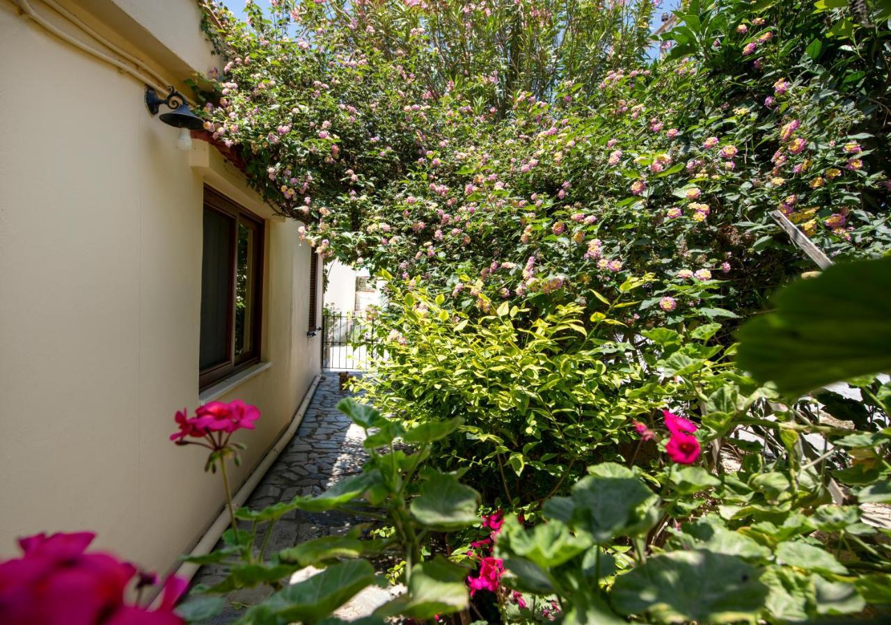 فيلا Elisavet'S House Platanés المظهر الخارجي الصورة